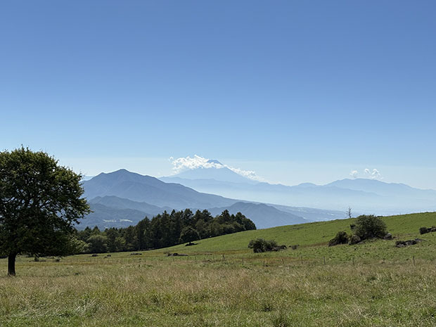 �g���b�L���O